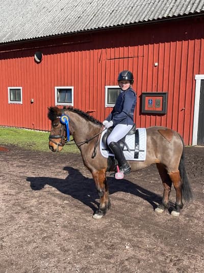 Vann med Annie på förra dressyr tävlingen 🏆