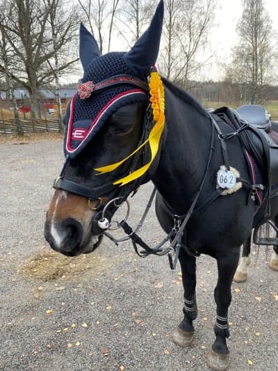 Tävling på Sundby ridklubb🥉⭐️