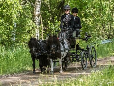 Från en trevlig tävling i Kil i maj