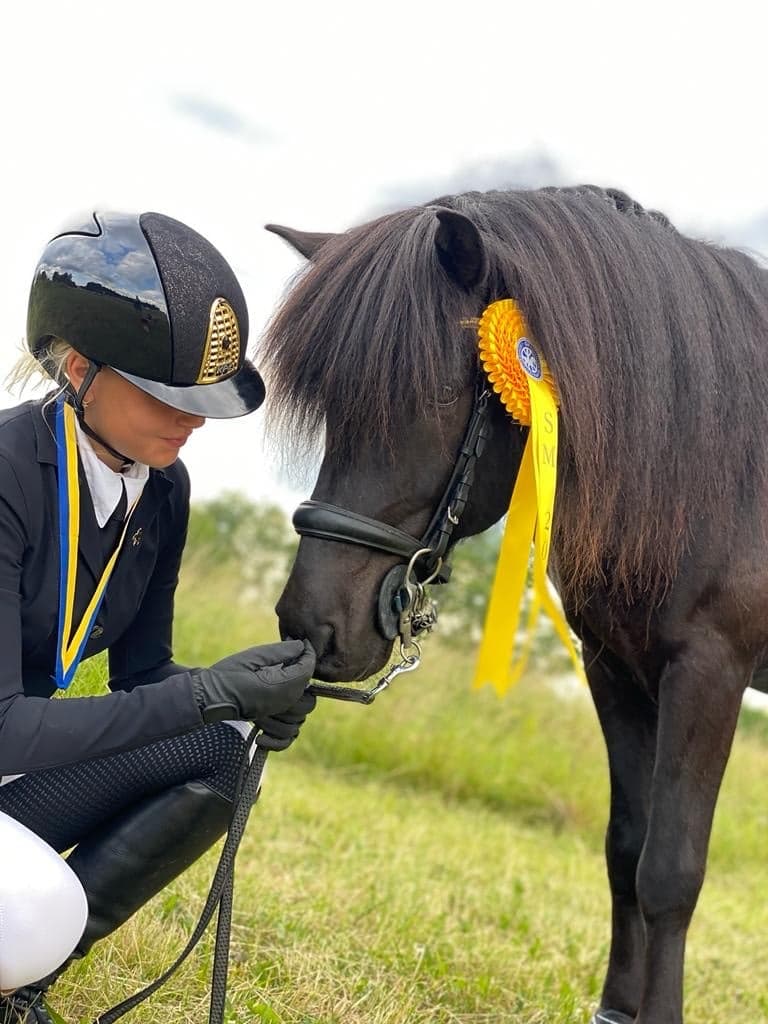 Bild 1 av Hreyfill från skaneyland