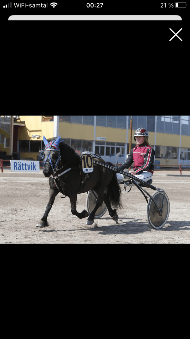 Bild 1 av Nordanåkers Diana