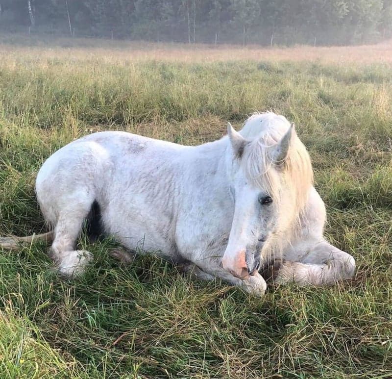 Bild 1 av Shakira