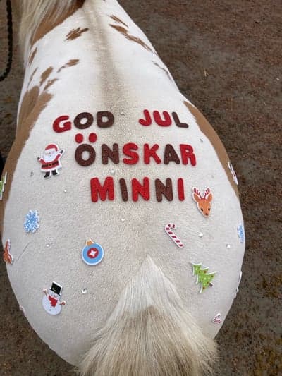 Minni var fint pyntad med jultema🤩🥰