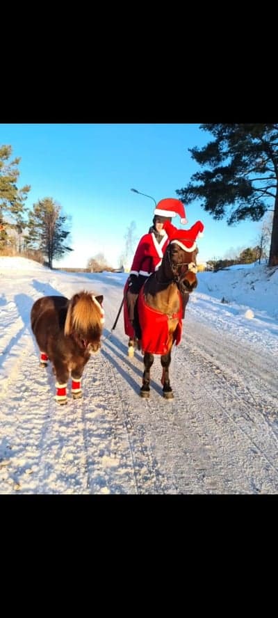 God Jul❤️🤶🎄