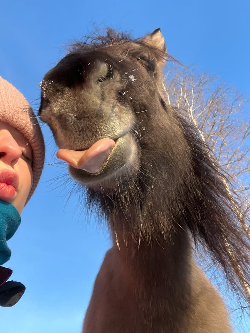 Bild 2 av Orka Från Stenbacken