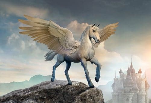 Bild 1 av Pegasus