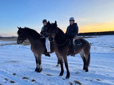 Nyårsritt med Rappa i Delsbo