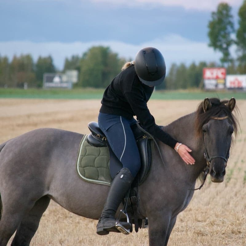 Bild 1 av Orka Från Stenbacken