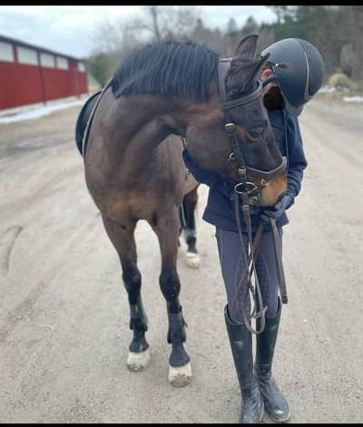 Bästa dressyren någonsin