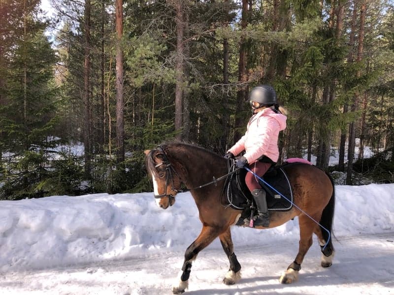 Bild 1 av Stensötans Scatcat