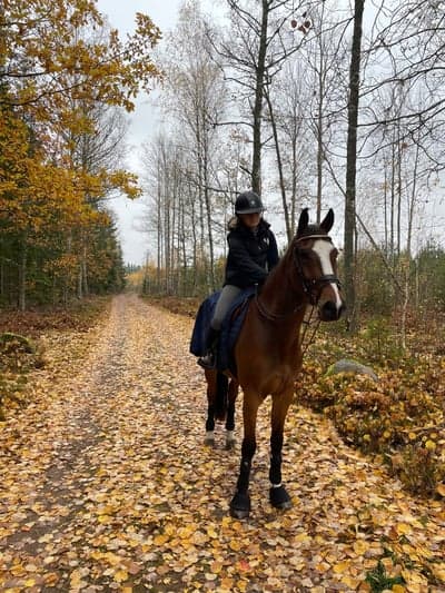 Uteritt i skogen