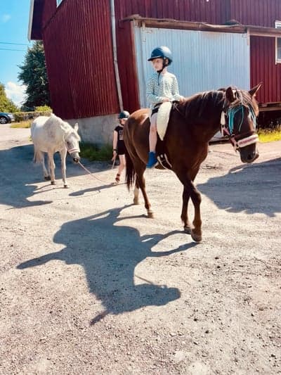 William, Bonnie, Kaj och Funky 🥰