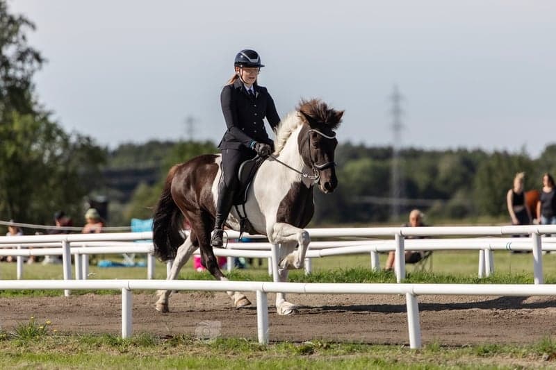 Bild 2 av Freymodur fra vestra geldingaholti