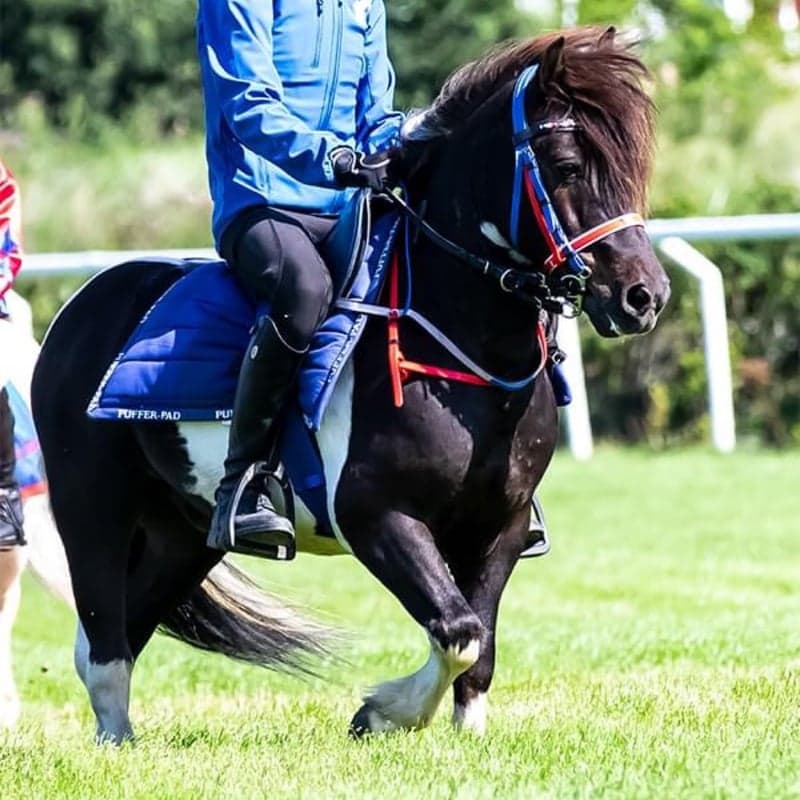 Bild 1 av Nordanåkers Broder Tuck